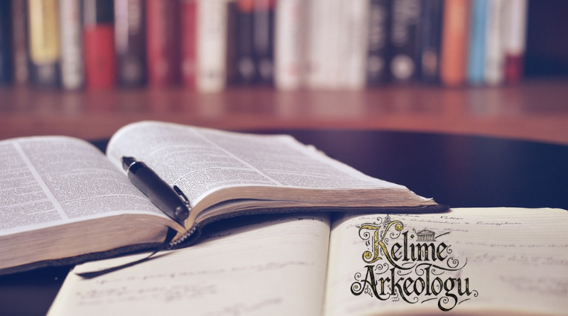 Kasım Ayı Okuma Raporu